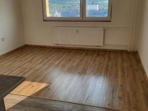 Pronájem bytu 1+1, Děčín - Děčín XXXII-Boletice nad Labem, V Sídlišti, 40 m2