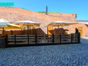 Pronájem restaurace, Olomouc, Mlýnská, 125 m2