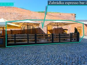 Pronájem restaurace, Olomouc, Mlýnská, 125 m2
