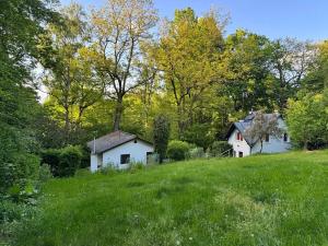 Prodej chaty, Plešnice, 36 m2