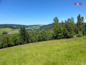 Prodej pole, Spělkov, 25164 m2