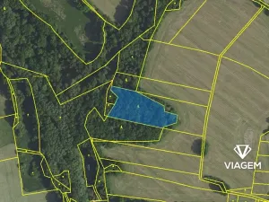 Prodej podílu lesa, Kamenice, 1546 m2