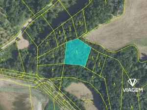Prodej podílu lesa, Vráž, 768 m2