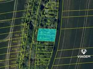 Prodej lesa, Syrovín, 320 m2