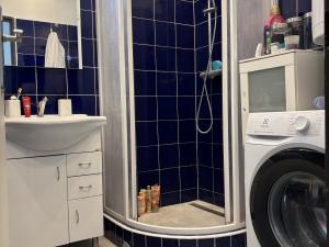 Pronájem bytu 3+1, Nový Bydžov, U Plovárny, 78 m2
