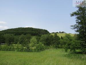 Prodej rodinného domu, Běšiny - Kozí, 270 m2