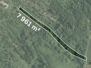 Prodej zahrady, Blučina, 7961 m2