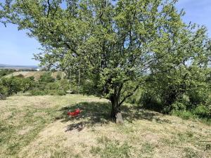 Prodej chaty, Blučina, 20 m2