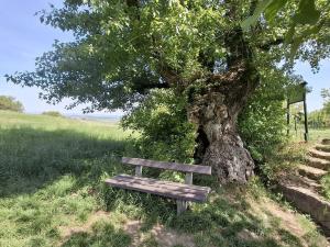 Prodej chaty, Blučina, 20 m2