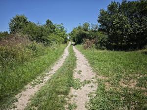 Prodej chaty, Blučina, 20 m2