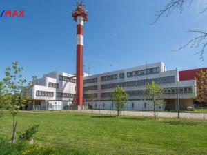 Pronájem kanceláře, Hradec Králové - Věkoše, Akademika Bedrny, 38 m2