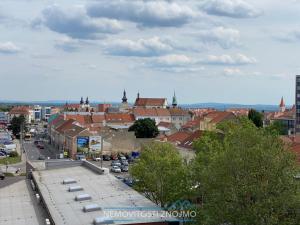 Pronájem bytu 1+kk, Znojmo, Mičurinova, 44 m2