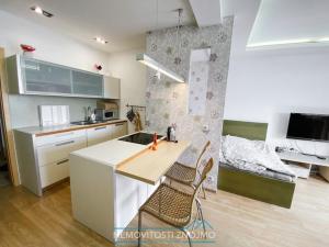 Pronájem bytu 1+kk, Znojmo, Mičurinova, 44 m2