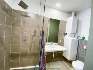 Pronájem bytu 1+kk, Znojmo, Mičurinova, 44 m2