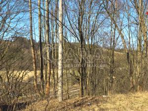 Prodej rodinného domu, Březová nad Svitavou, 170 m2