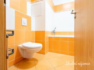Pronájem bytu 1+kk, Praha, Farkašova, 32 m2