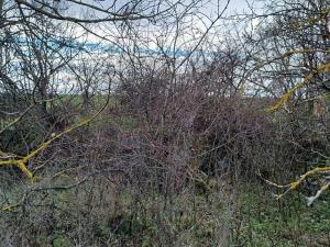 Prodej chaty, Strachotice, 36 m2
