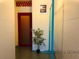 Pronájem bytu 1+1, Praha, Na Folimance, 40 m2