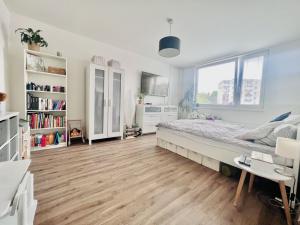 Pronájem bytu 1+1, Chrudim - Chrudim IV, Na Šancích, 45 m2