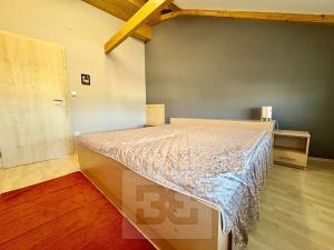 Pronájem bytu 5+kk, Velké Opatovice, Sokolská, 195 m2