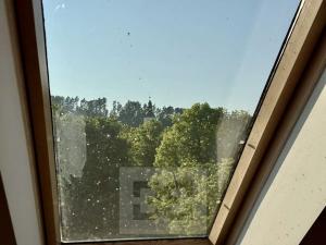 Pronájem bytu 5+kk, Velké Opatovice, Sokolská, 195 m2