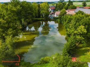 Prodej zemědělského objektu, Opočno - Dobříkovec, 10000 m2