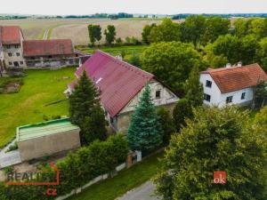 Prodej zemědělského objektu, Opočno - Dobříkovec, 10000 m2