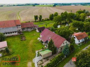 Prodej zemědělského objektu, Opočno - Dobříkovec, 10000 m2