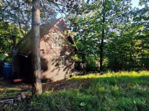 Prodej chaty, Ústí nad Labem - Brná, Pod Ostrým, 35 m2