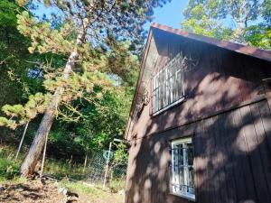 Prodej chaty, Ústí nad Labem - Brná, Pod Ostrým, 35 m2