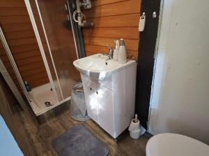 Prodej chaty, Ústí nad Labem - Brná, Pod Ostrým, 35 m2