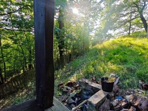 Prodej chaty, Ústí nad Labem - Brná, Pod Ostrým, 35 m2
