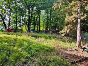 Prodej chaty, Ústí nad Labem - Brná, Pod Ostrým, 35 m2