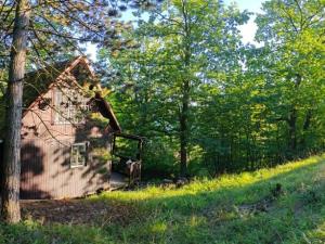 Prodej chaty, Ústí nad Labem - Brná, Pod Ostrým, 35 m2