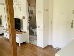 Pronájem bytu 1+kk, Praha, Holečkova, 29 m2