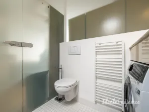 Pronájem bytu 3+kk, Praha - Vinohrady, Bělehradská, 106 m2