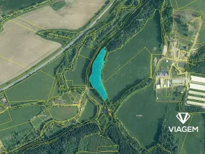 Prodej podílu lesa, Kájov, 735 m2