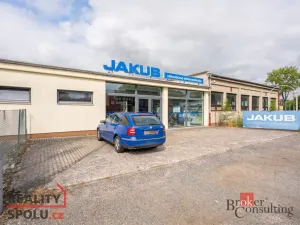 Pronájem obchodního prostoru, Hradec Králové - Slezské Předměstí, Bieblova, 480 m2