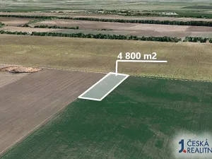 Prodej pole, Troskotovice, 4800 m2
