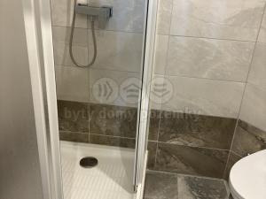 Prodej obchodního prostoru, Pardubice - Bílé Předměstí, Bubeníkova, 55 m2