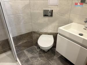 Prodej obchodního prostoru, Pardubice - Bílé Předměstí, Bubeníkova, 55 m2