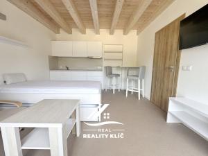 Pronájem bytu 1+kk, Hlučín, Opavská, 20 m2