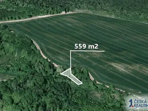 Prodej pole, Hoštice, 559 m2