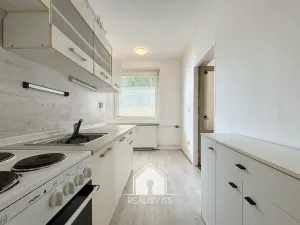 Prodej bytu 1+1, Jílové, Družstevní, 30 m2