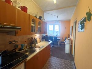 Prodej bytu 3+1, 58 m2