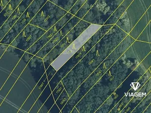 Prodej podílu lesa, Mistřice, 250 m2