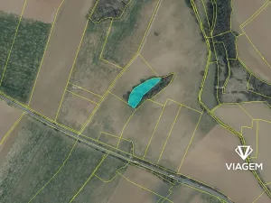 Prodej podílu lesa, Kropáčova Vrutice, 2801 m2