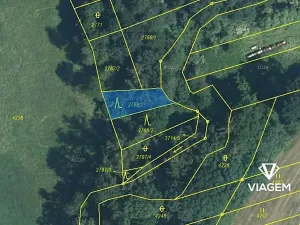 Prodej lesa, Drslavice, 611 m2