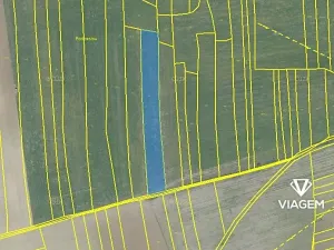 Prodej pole, Sedliště, 3759 m2