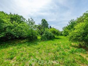 Prodej pozemku pro bydlení, Horní Újezd, 1087 m2